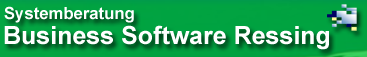 Systemberatung Business Software Ressing